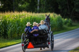 Sexual Abuse in the Amish Community